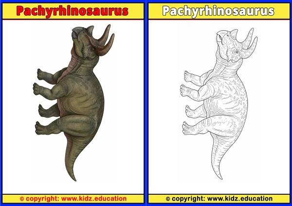 Pachyrhinosaurus - Printable Coloring Page for Kids
