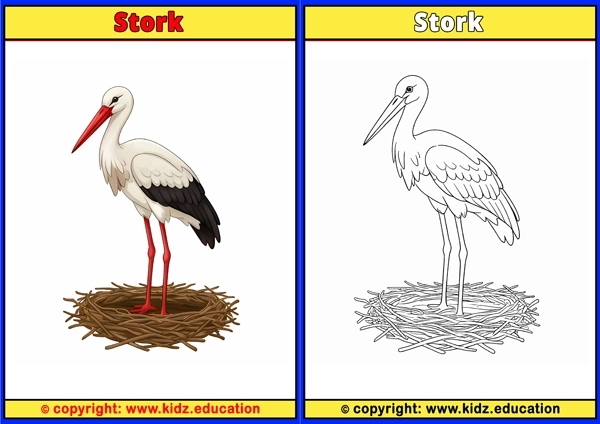 Sunbird - Printable Coloring Page for Kids