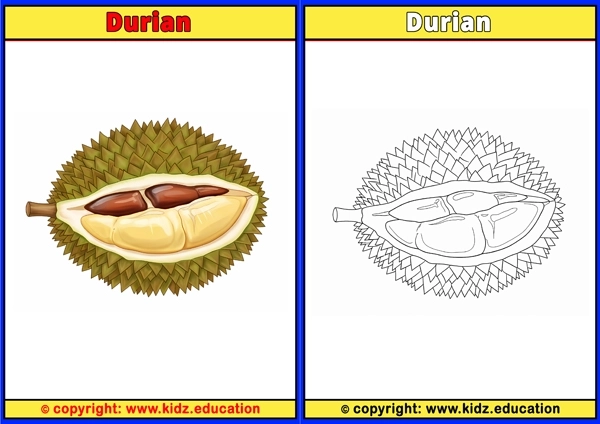 Durian - Printable Coloring Page for Kids