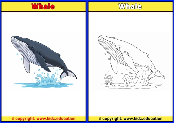 Whale - Printable Coloring Page for Kids