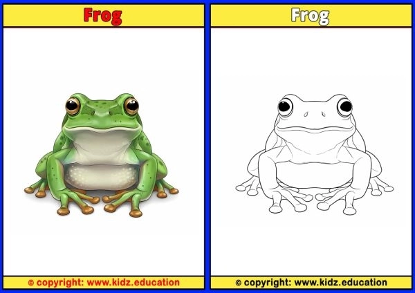 Frog - Printable Coloring Page for Kids