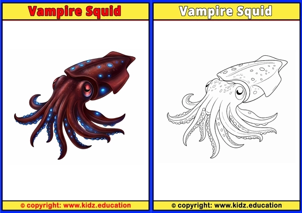 Vampire Squid - Printable Coloring Page for Kids