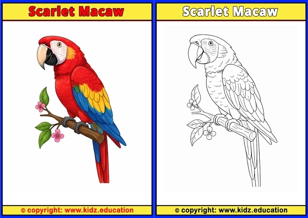 Scarlet Tanager - Printable Coloring Page for Kids