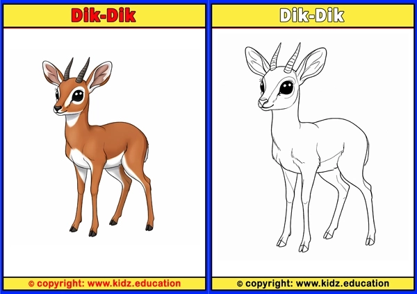 Dik-dik - Printable Coloring Page for Kids