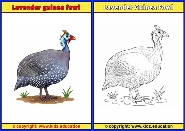 Leafbird - Printable Coloring Page for Kids