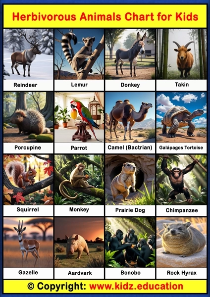 Herbivorous Animals Chart - 3 | Printable Educational Chart for Kids