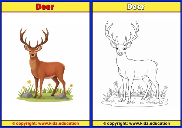Deer - Printable Coloring Page for Kids