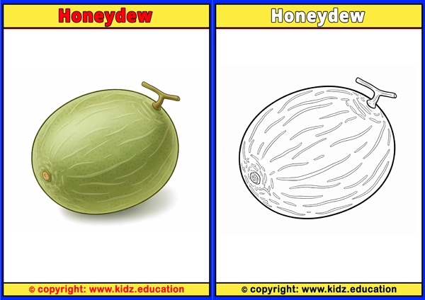 Honeydew - Printable Coloring Page for Kids