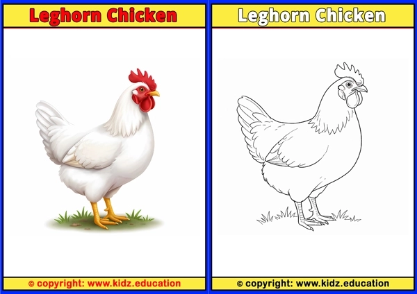 Lovebird - Printable Coloring Page for Kids