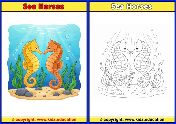 Sea Horses - Printable Coloring Page for Kids