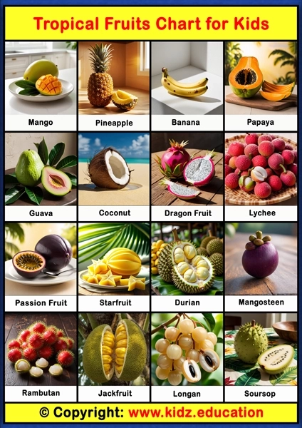Tropical Fruits Chart – 1 | Printable Educational Chart for Kids