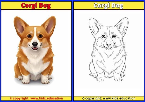 Corgi Dog - Printable Coloring Page for Kids