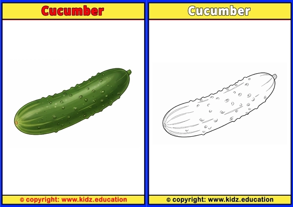 Cucumber  - Printable Coloring Page for Kids