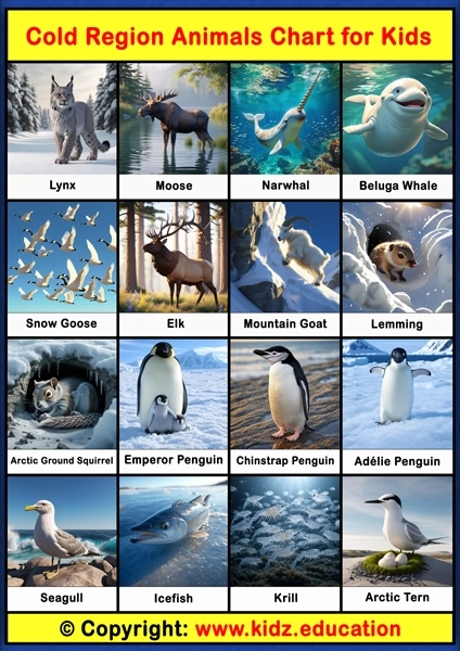 Cold Region Animals Chart - 2 | Printable Educational Chart for Kids