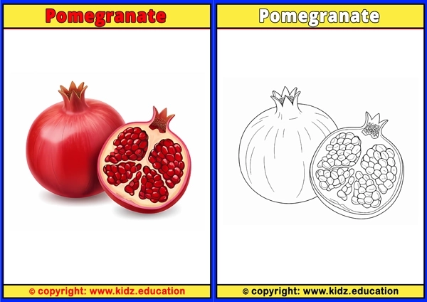 Pomegranate - Printable Coloring Page for Kids