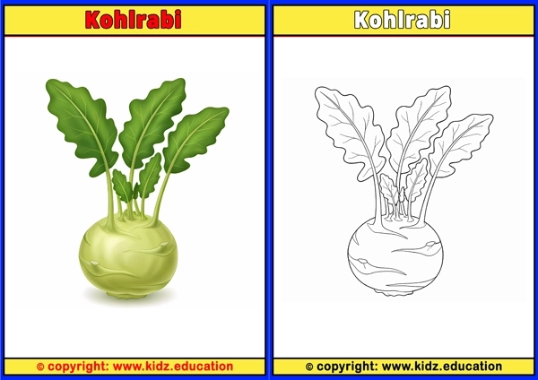 Kohlrabi - Printable Coloring Page for Kids