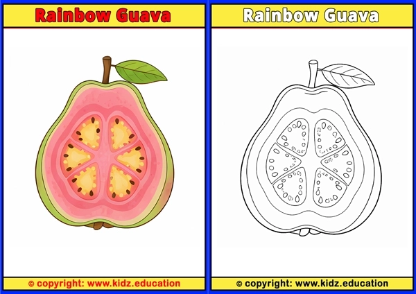 Rainbow Guava - Printable Coloring Page for Kids