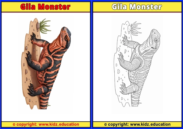 Gila Monster - Printable Coloring Page for Kids