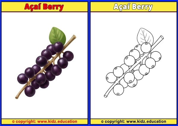 Avocado - Printable Coloring Page for Kids