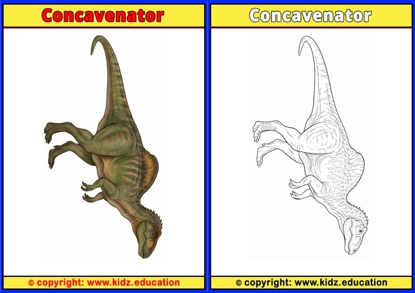 Concavenator - Printable Coloring Page for Kids