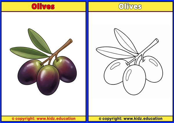 Olives - Printable Coloring Page for Kids