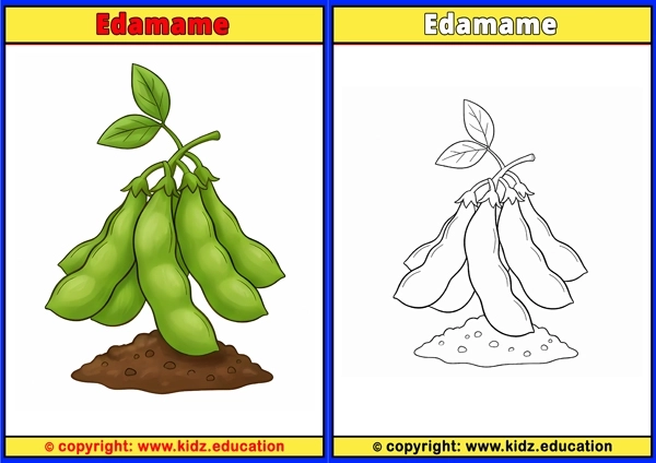 Edamame - Printable Coloring Page for Kids