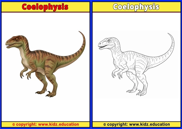 Coelophysis - Printable Coloring Page for Kids