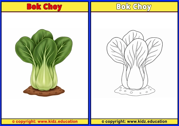 Bok Choy - Printable Coloring Page for Kids