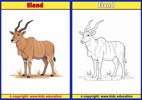 Eland - Printable Coloring Page for Kids