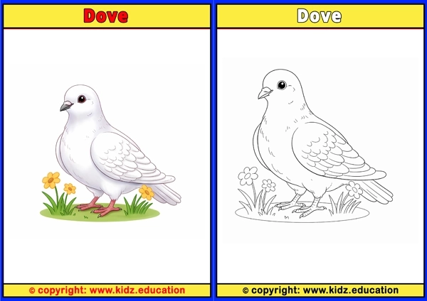 Dove - Printable Coloring Page for Kids