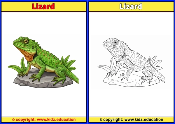 Lizard - Printable Coloring Page for Kids