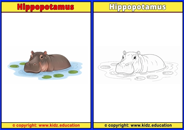 Hippopotamus - Printable Coloring Page for Kids