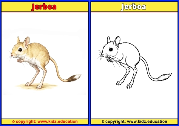 Jerboa - Printable Coloring Page for Kids