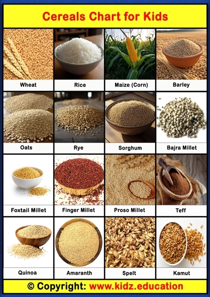 Cereals Chart – 1 | Printable Educational Chart for Kids