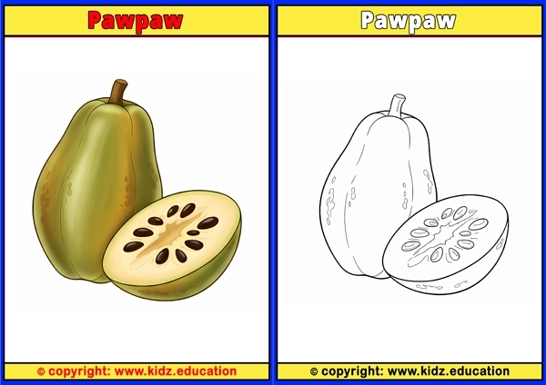 Pawpaw - Printable Coloring Page for Kids