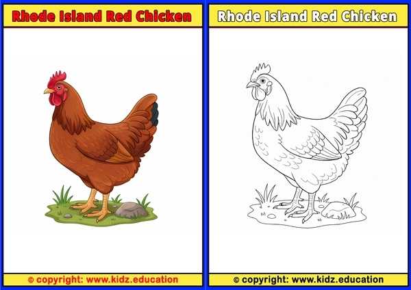 Roadrunner - Printable Coloring Page for Kids