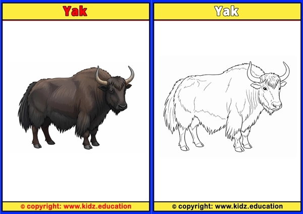 Yak - Printable Coloring Page for Kids