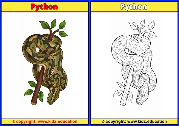 Python - Printable Coloring Page for Kids