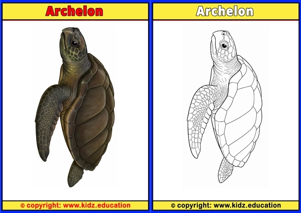 Archelon - Printable Coloring Page for Kids