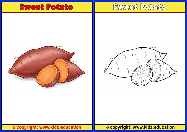Sweet Potato - Printable Coloring Page for Kids