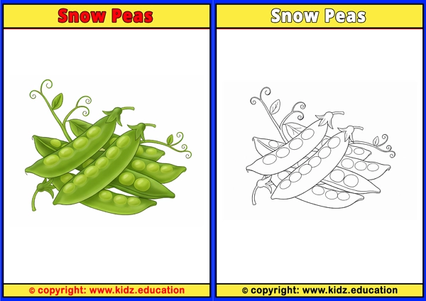 Snow Peas - Printable Coloring Page for Kids