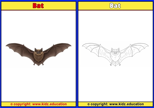 Bat - Printable Coloring Page for Kids
