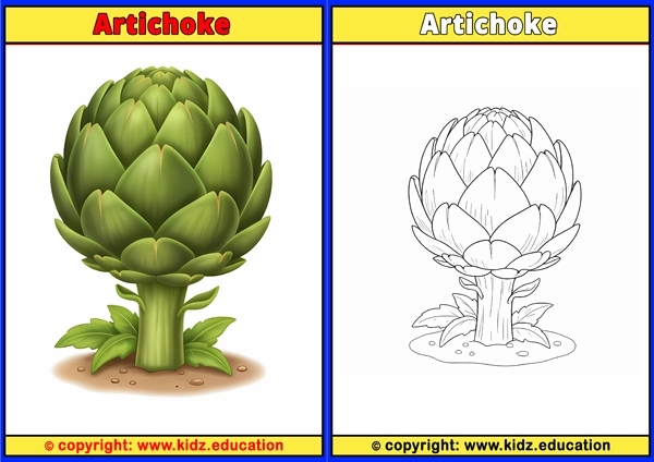 Artichoke - Printable Coloring Page for Kids