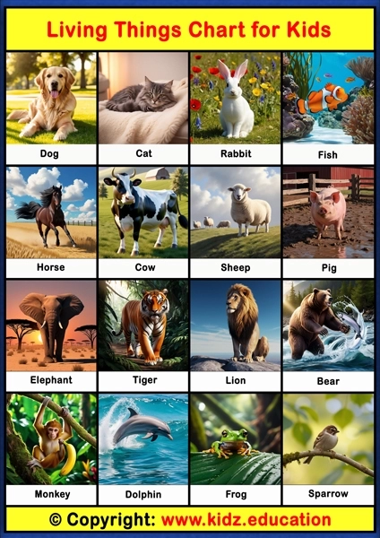 Living Things Chart - 1 | Printable Educational Chart for Kids