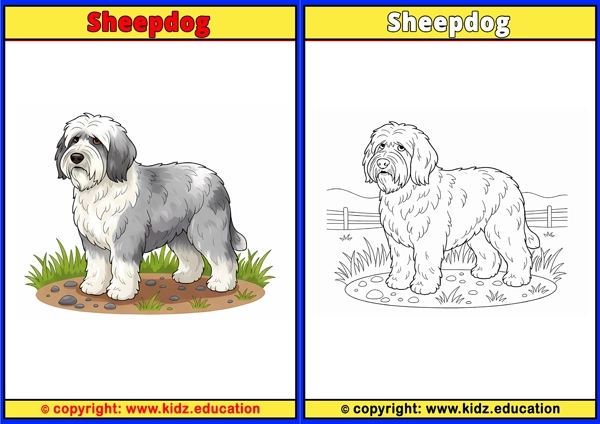 Sheepdog - Printable Coloring Page for Kids