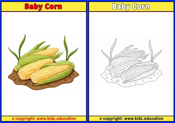 Baby Corn - Printable Coloring Page for Kids