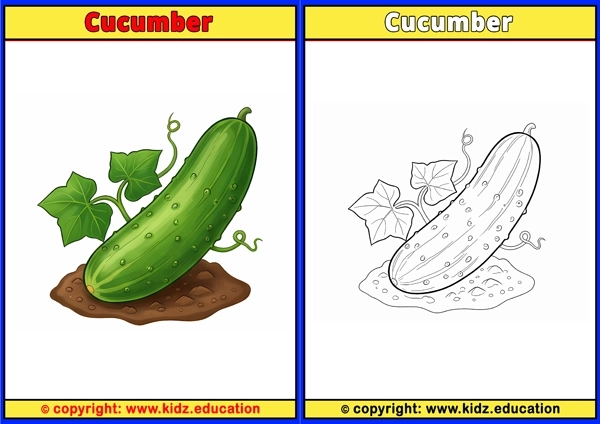Cucumber - Printable Coloring Page for Kids