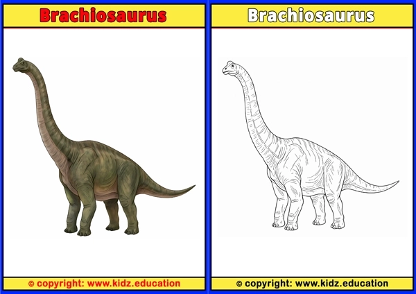 Brachiosaurus - Printable Coloring Page for Kids