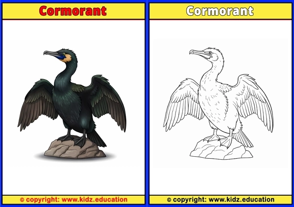 Cormorant - Printable Coloring Page for Kids