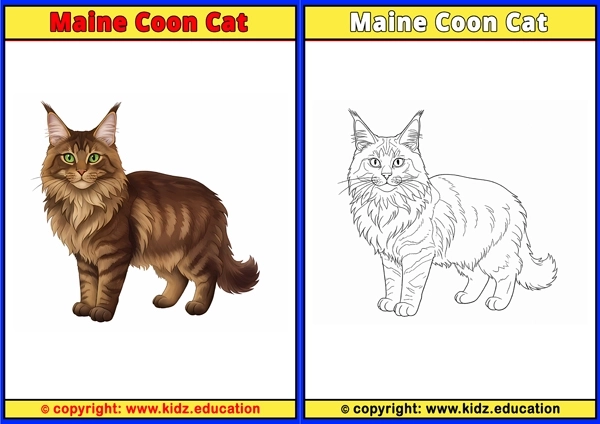 Maine Coon Cat - Printable Coloring Page for Kids